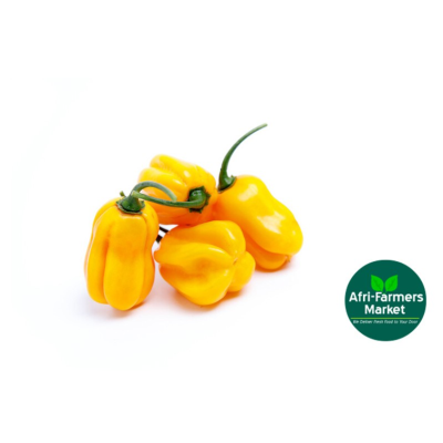 Pili pili (Yellow)